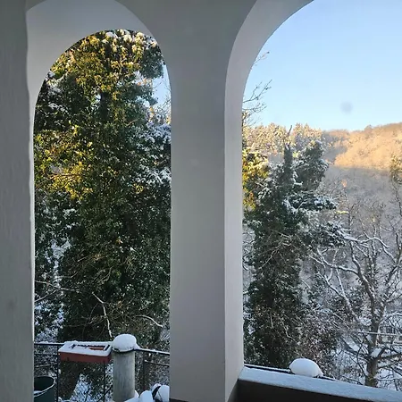 Daire Little Rhineview Chateau - Ug *