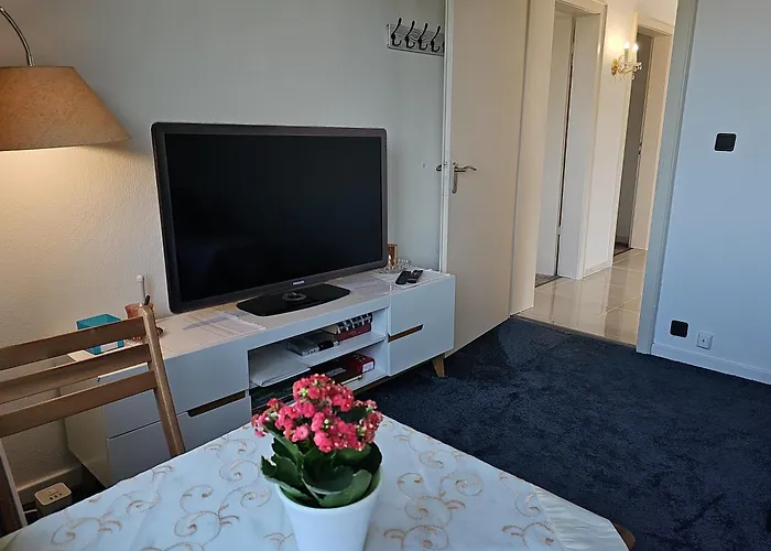 Little Rhine View Chateau - Ug 公寓 *